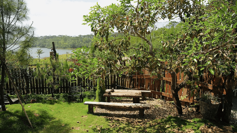https://files.locallife.asia/images/800/1765030216881-Thiết kế chưa có tên (14).png